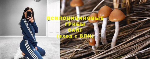 ECSTASY Арсеньев